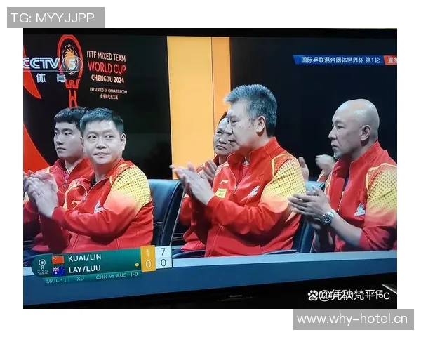 杭州乒乓球队员个人能力深度对比与分析探讨