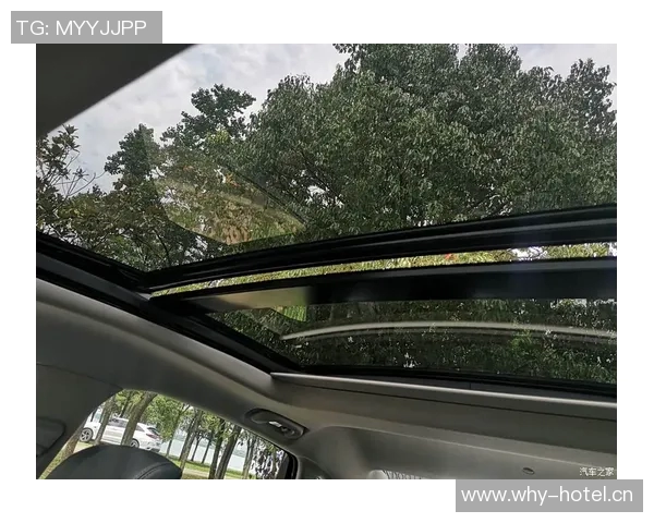 武汉乒乓球队的转型之路与成绩波动分析 武汉乒乓球队的转型之路与成绩波动分析